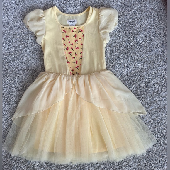 Other - Disney Princess Inspired Taylor Joelle dress